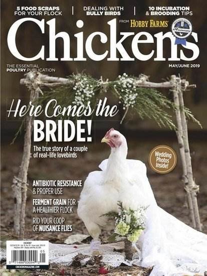 Chickens Magazine