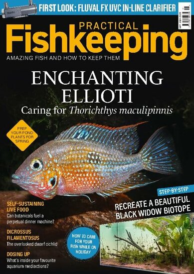 Practical Fishkeeping Magazine