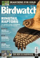 Birdwatch Magazine