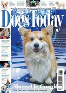 Dogs Today Magazine